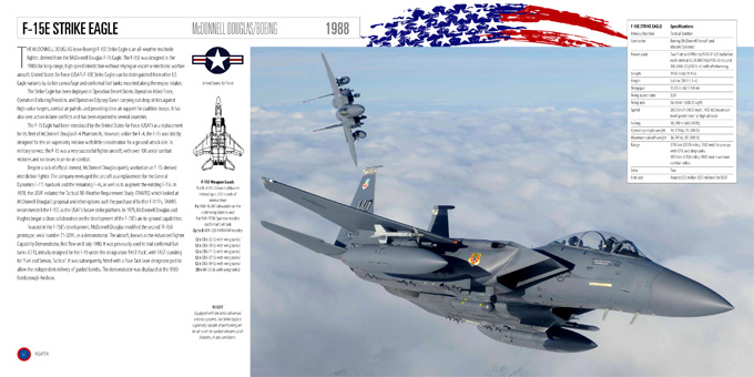 fighter aircraft
