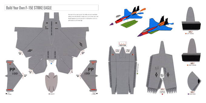 fighter aircraft